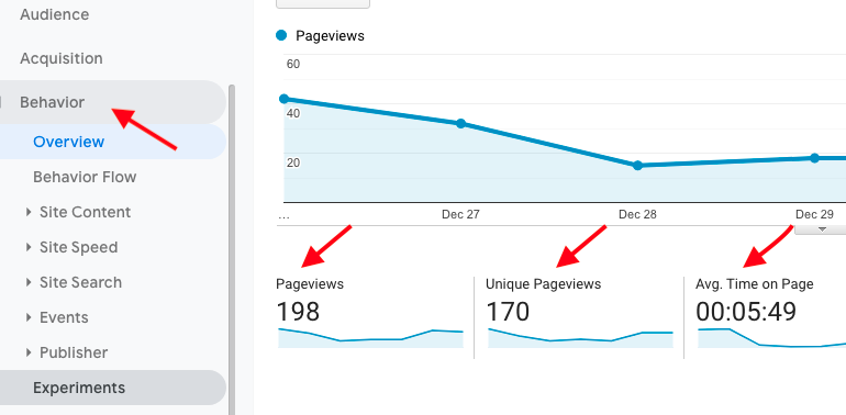 View Page view of your website in behavior 
