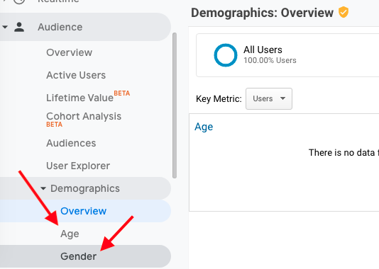 demographic breakdown of website visitors