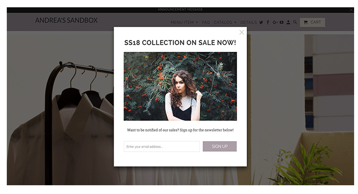 Pop up important for eCommercer website Pop up important for eCommercer website