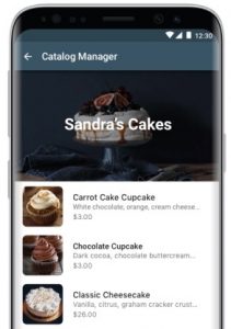whatsApp Business Catalog